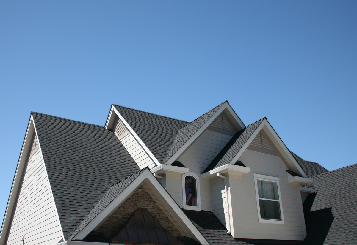 Thomson Roof Treatment